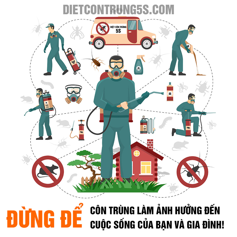 Dịch vụ diệt côn trùng gây hại tại Đà Nẵng