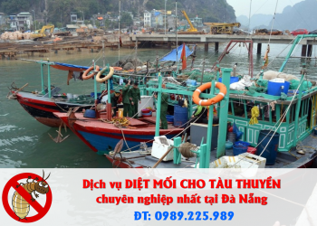 Dịch vụ diệt mối cho tàu thuyền chuyên nghiệp nhất tại Đà Nẵng