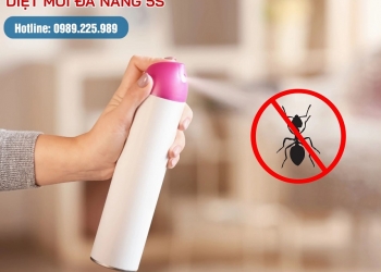 Thuốc xịt kiến có độc không?