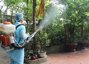 Dịch Vụ Phun Thuốc Diệt Muỗi Chất Lượng - Giá Rẻ