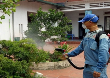 Dịch vụ phun thuốc diệt muỗi an toàn và tiện ích